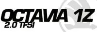Skoda Octavia 1Z 2.0 TFSI
